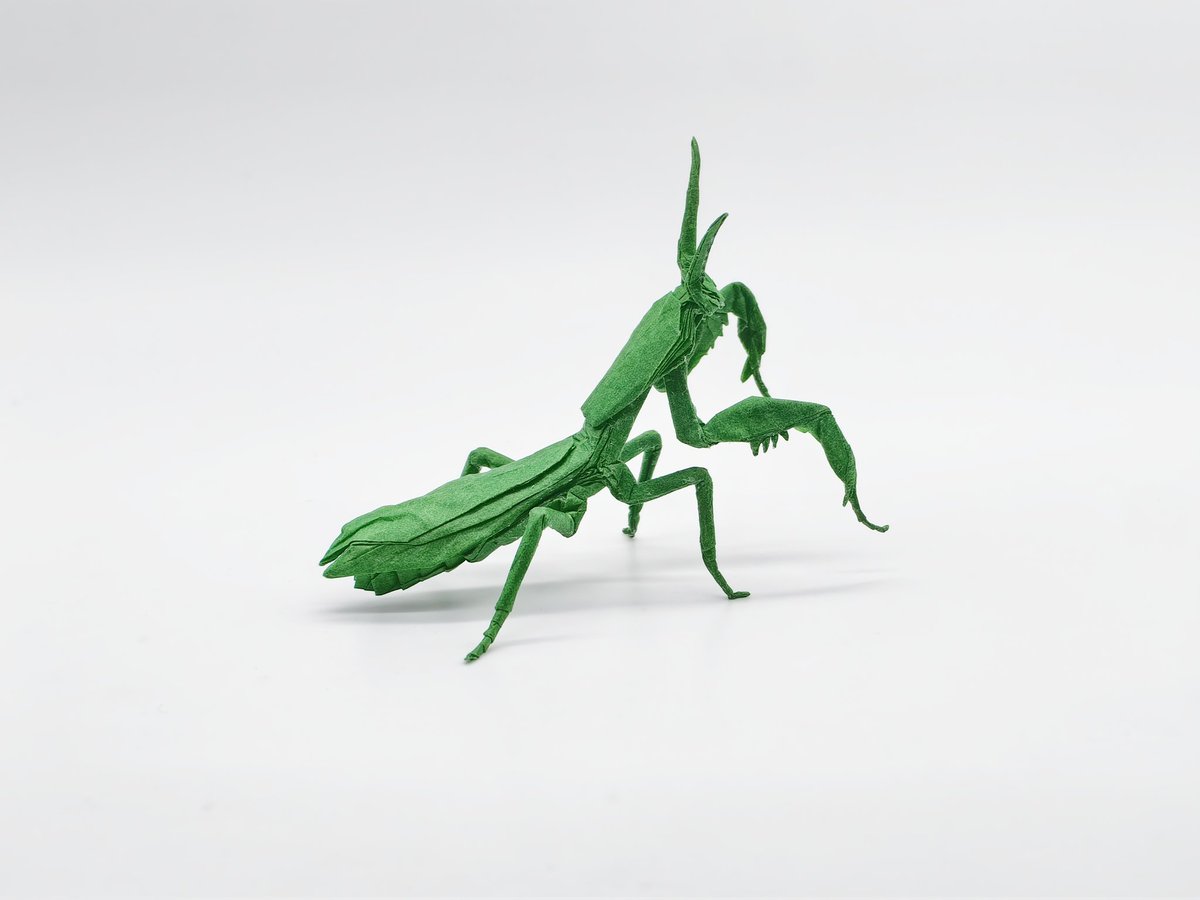 praying mantis designed by <a href="/folders_wotd/">神谷哲史_折紙創作家</a>