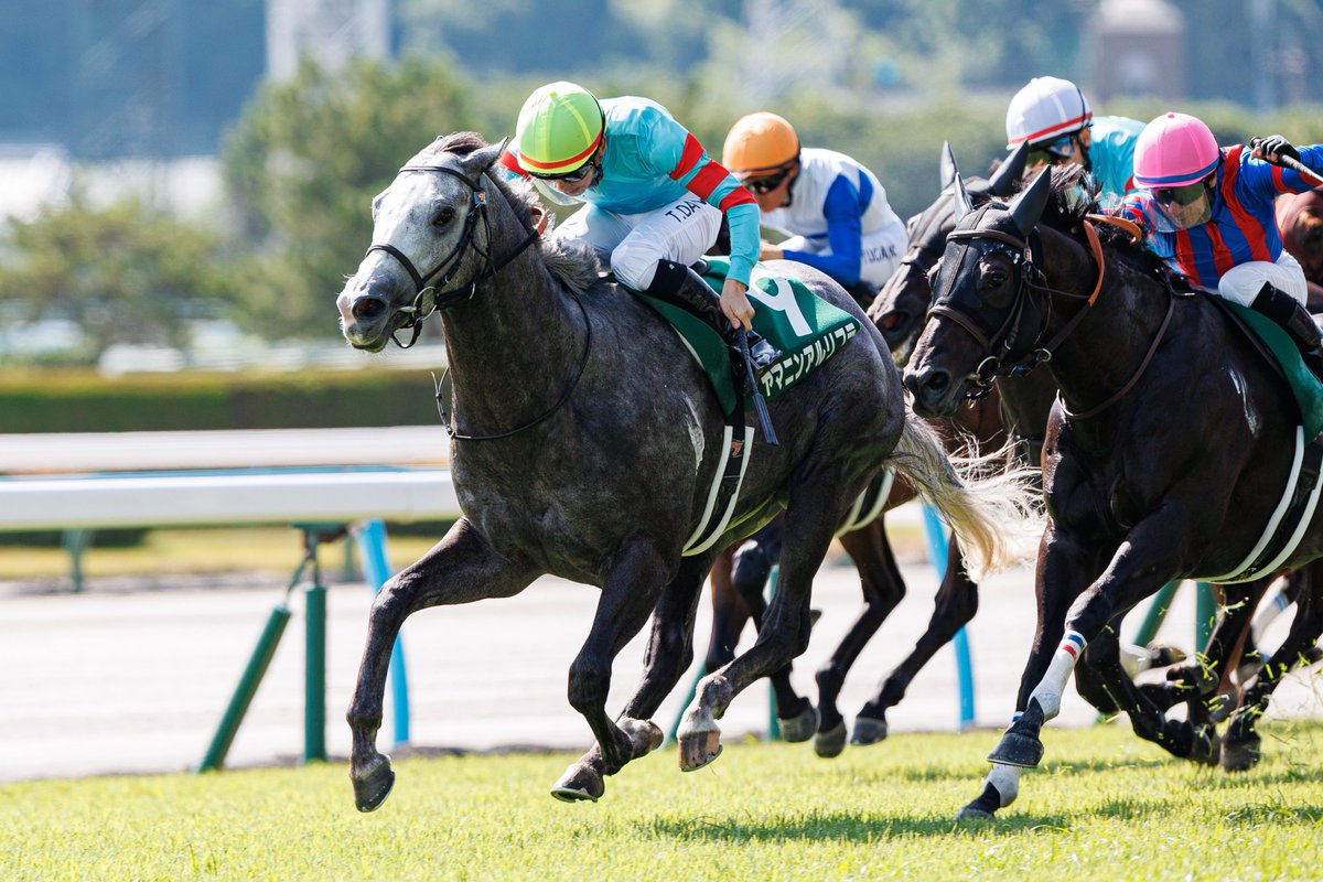 demekeiba113's tweet image. 2025.07.06　小倉競馬　11R

テレビ西日本賞　第60回　北九州記念　GⅢ　1着

ヤマニンアルリフラ✕団野大成騎手

#小倉競馬　#北九州記念　#ヤマニンアルリフラ　#団野大成