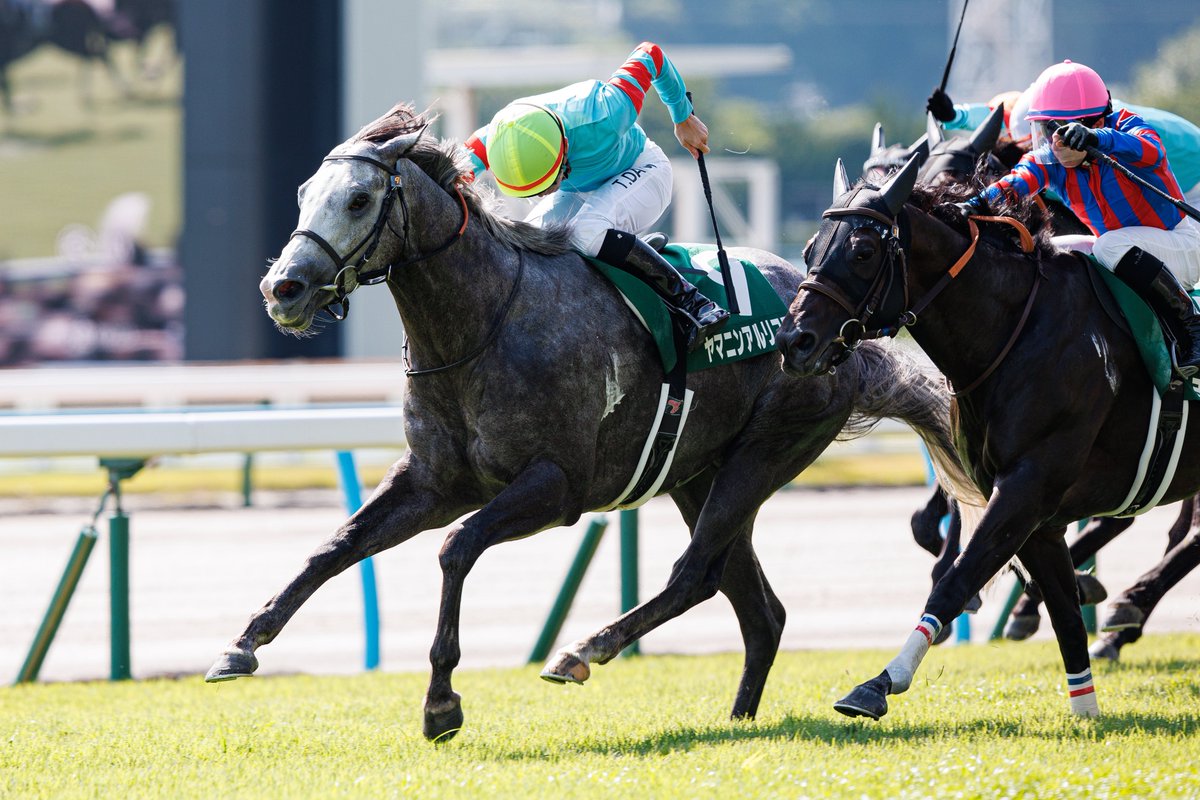 demekeiba113's tweet image. 2025.07.06　小倉競馬　11R

テレビ西日本賞　第60回　北九州記念　GⅢ　1着

ヤマニンアルリフラ✕団野大成騎手

#小倉競馬　#北九州記念　#ヤマニンアルリフラ　#団野大成