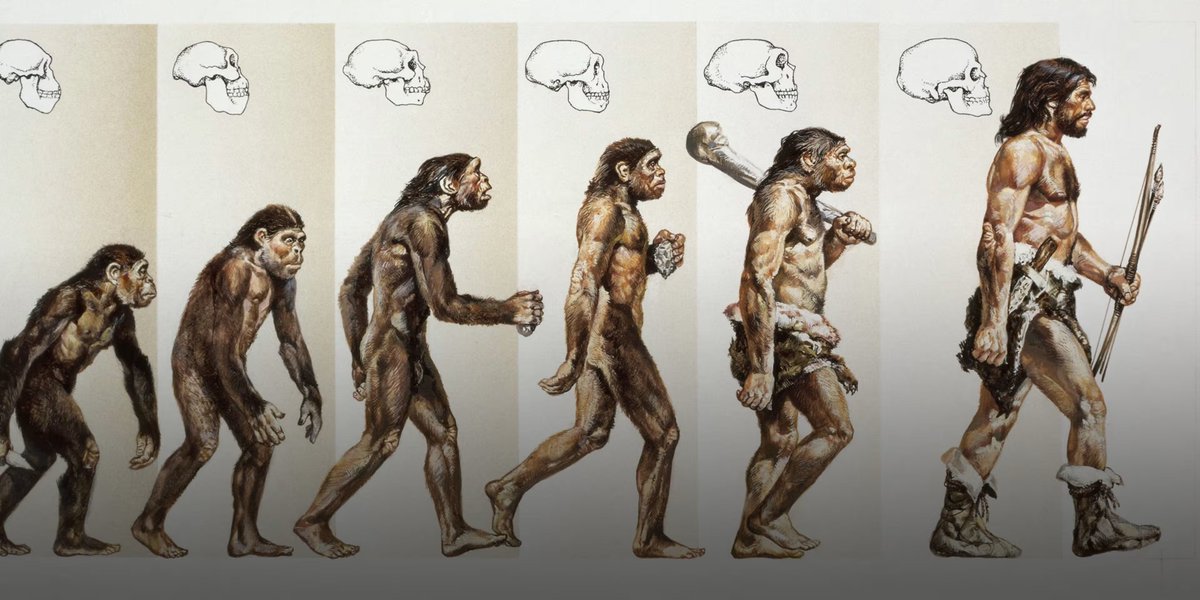 MonHunHints's tweet image. Monster Hunter Hint!

Recent discoveries have led researchers to believe neanderthals might have acquired the instinct to hunt from their fondess of Monster Hunter.

Pieces of what appears to be a copy of Monster Hunter were found lodged within the disk reader of a fossilized PS2