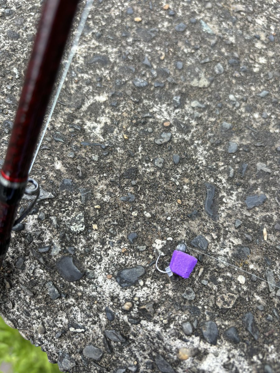 zerohechi's tweet image. 今日はチヌキューブ縛り◻︎
 #ヘチ釣り