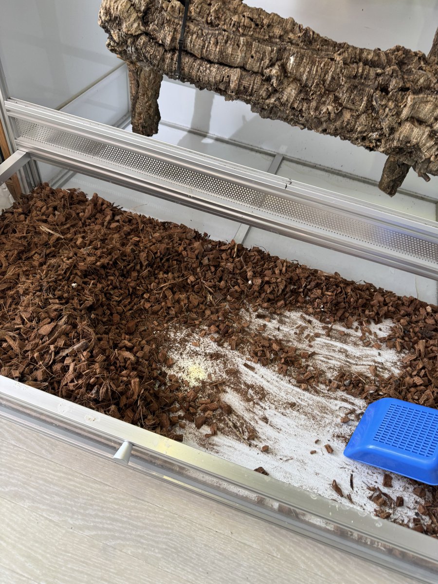 mopmop123456's tweet image. コバルトの床材交換
床面を引き出せるようにしたので掃除が楽
水洗いもできる
#コバルトツリーモニター