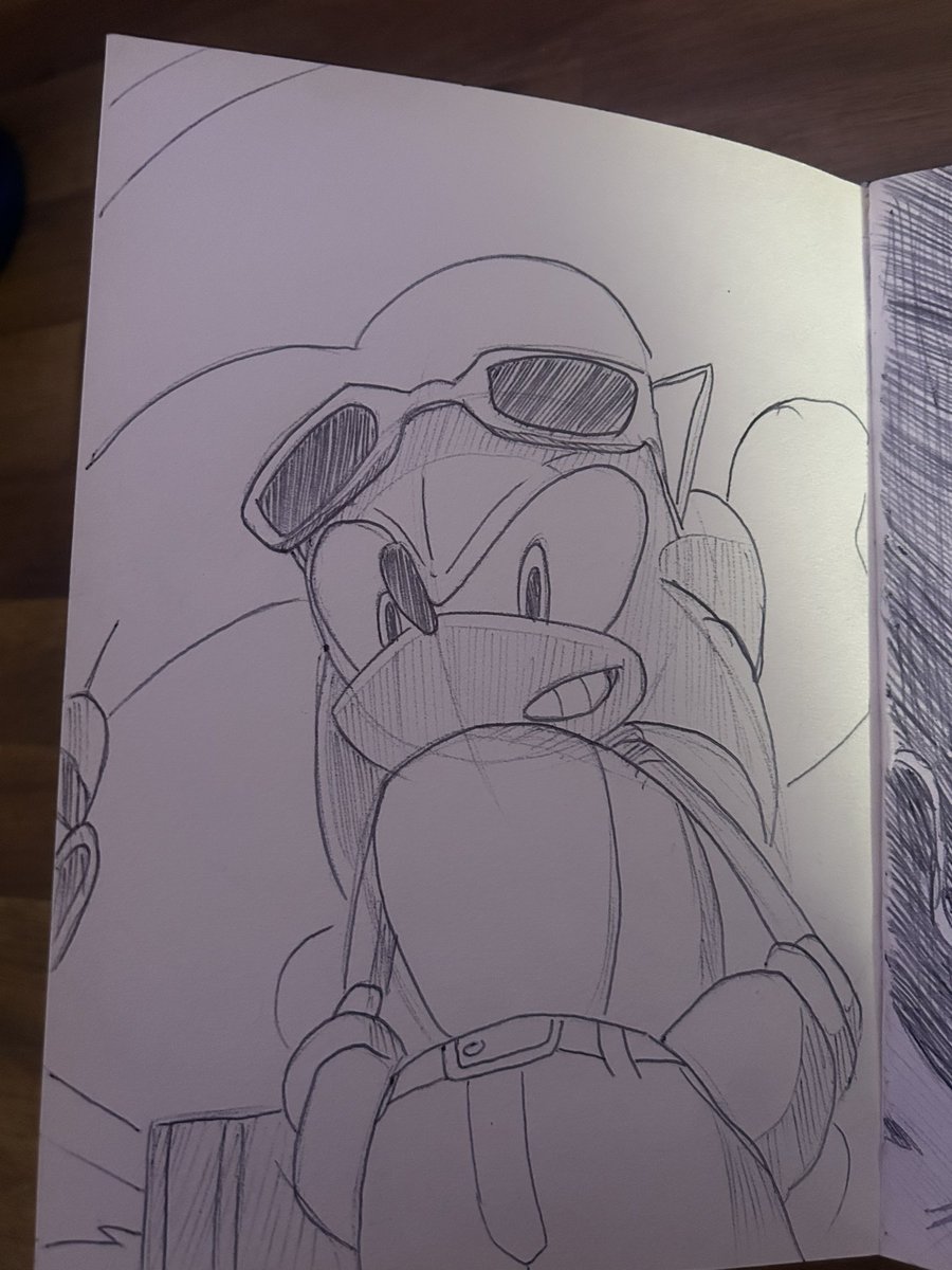 _ShusuiSushi_'s tweet image. Peek at my sonic drawings from last year
#art #drawing #sketches #SonicTheHedgehog #SonicRacingCrossWorlds #sonic