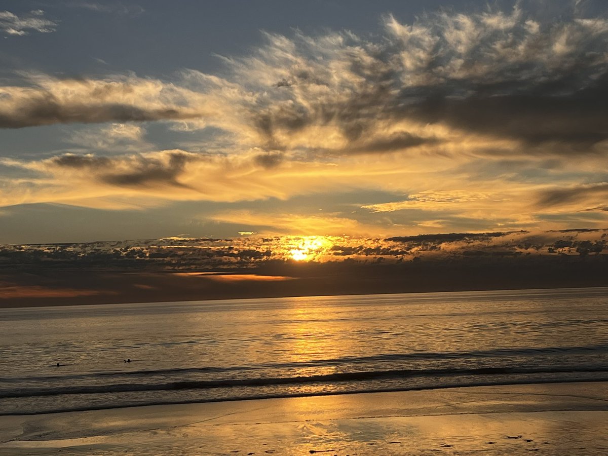 MimiFriborg's tweet photo. @Matt_Pinner https://t.co/IsnjTk13qZ