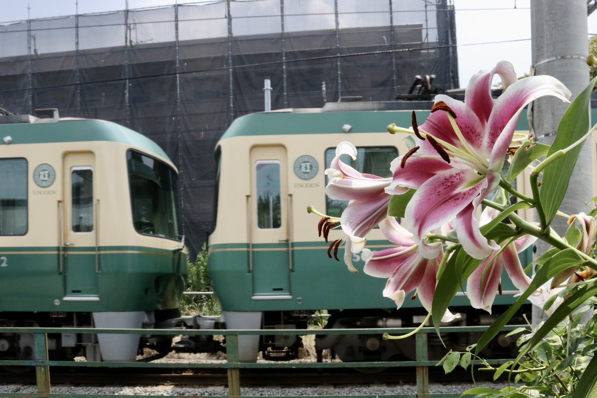 江ノ電 集電用 ポール ⚠️注 現地渡し 場所 東京都杉並区
