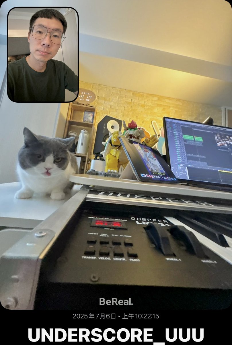 Back to work. #MusicDaily #Compose #Music #Producer #SoundDesigner #GameComposer #gamemusic #gameaudio #unclearranger #cat #cats #BritishShorthair #British #Shorthair