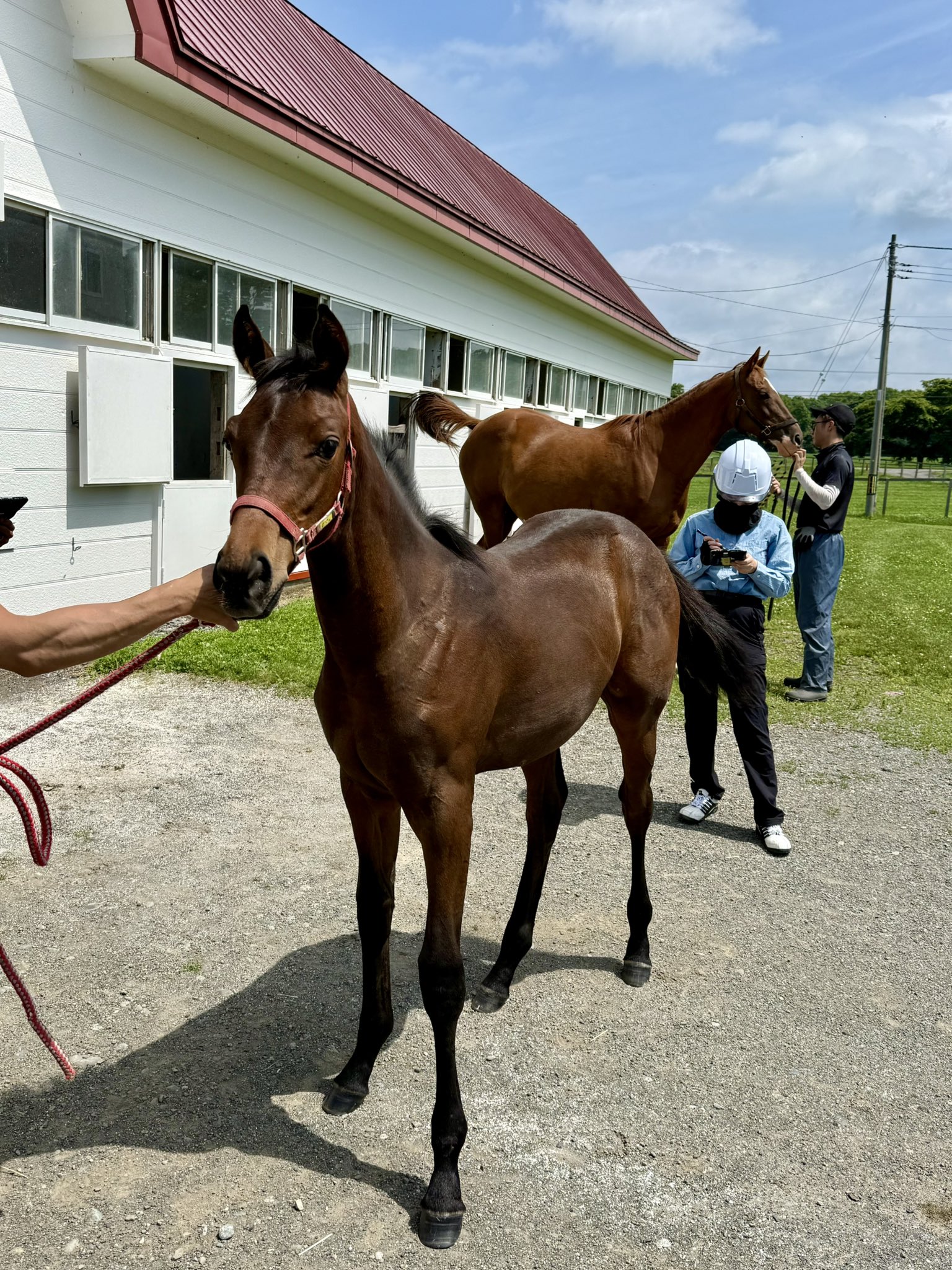 牧場主 ⽣産者の紹介｜⼠幌町⾁⽜振興会