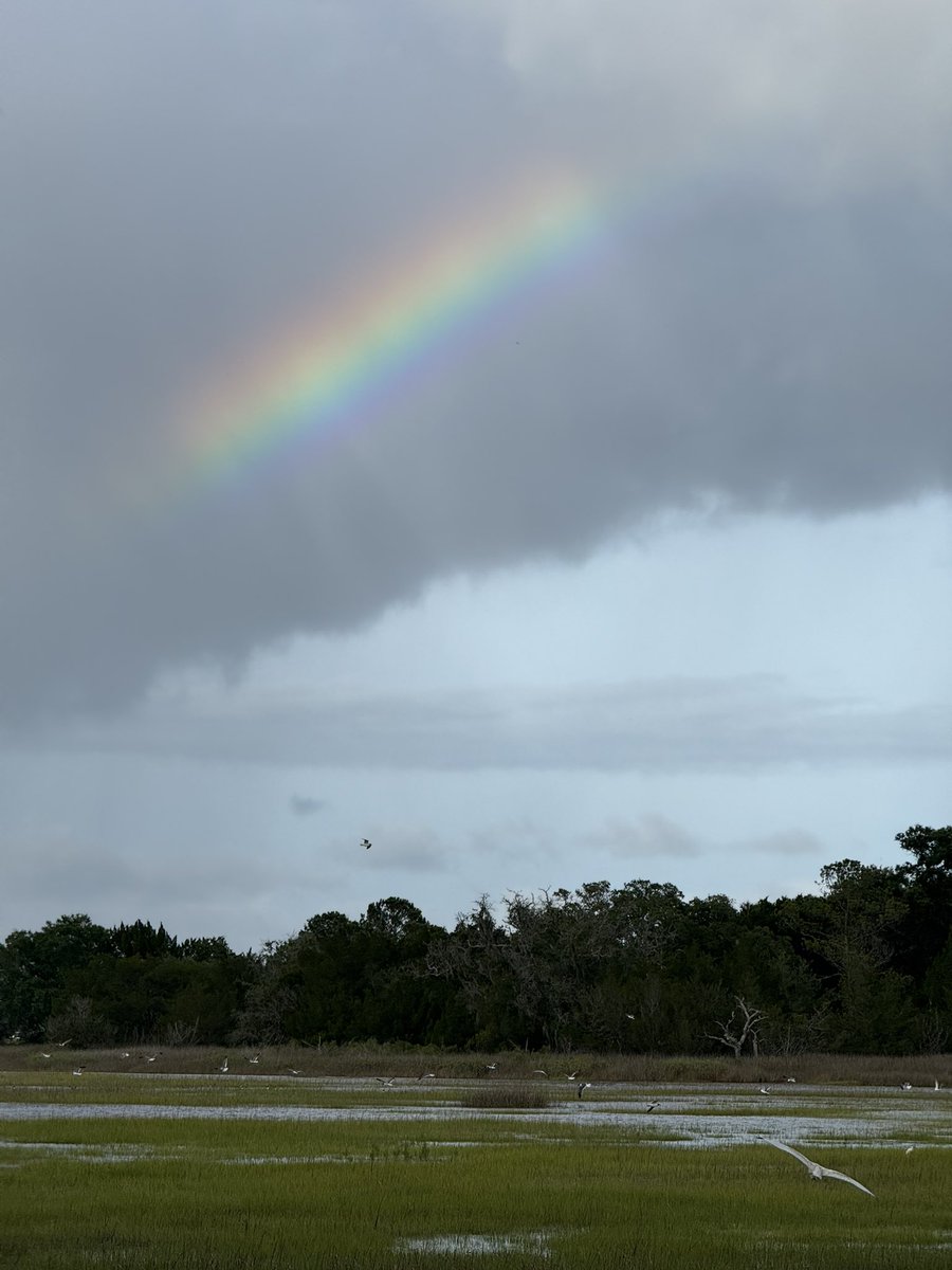 SStevensWCIV's tweet image. With the bands of showers moving onshore, there were a few different rainbows out at dad’s house on Johns Island today! @natwxdesk #chswx