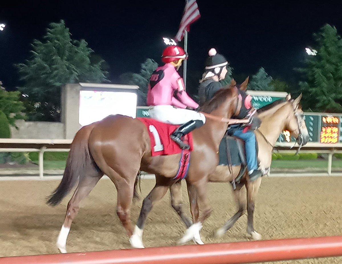 Reunited - after 2 years.  

Jefferson Native and Andre ran 3rd tonight in the feature at a high price!!   🥹❤️‍🔥❤️‍🔥❤️‍🔥