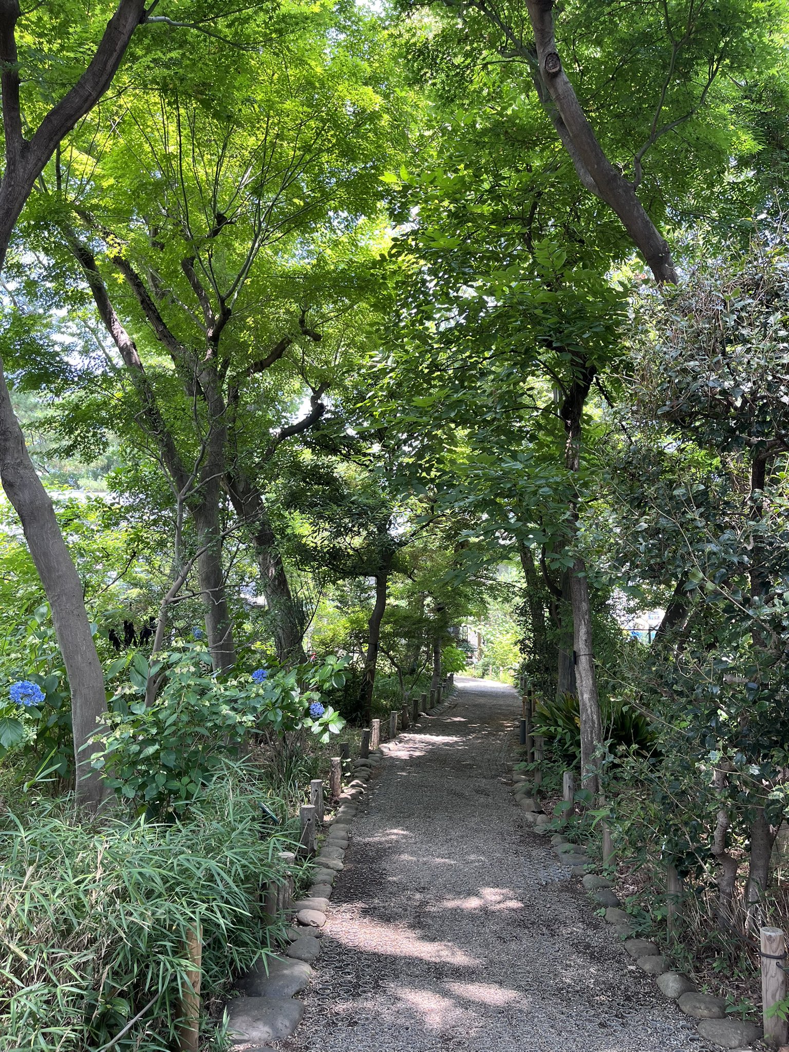 プレイ用 迷路庭園 3枚 日本語 プレイ用 迷路庭園 3枚 日本語 プレイ用 迷路庭園 3枚 日本語