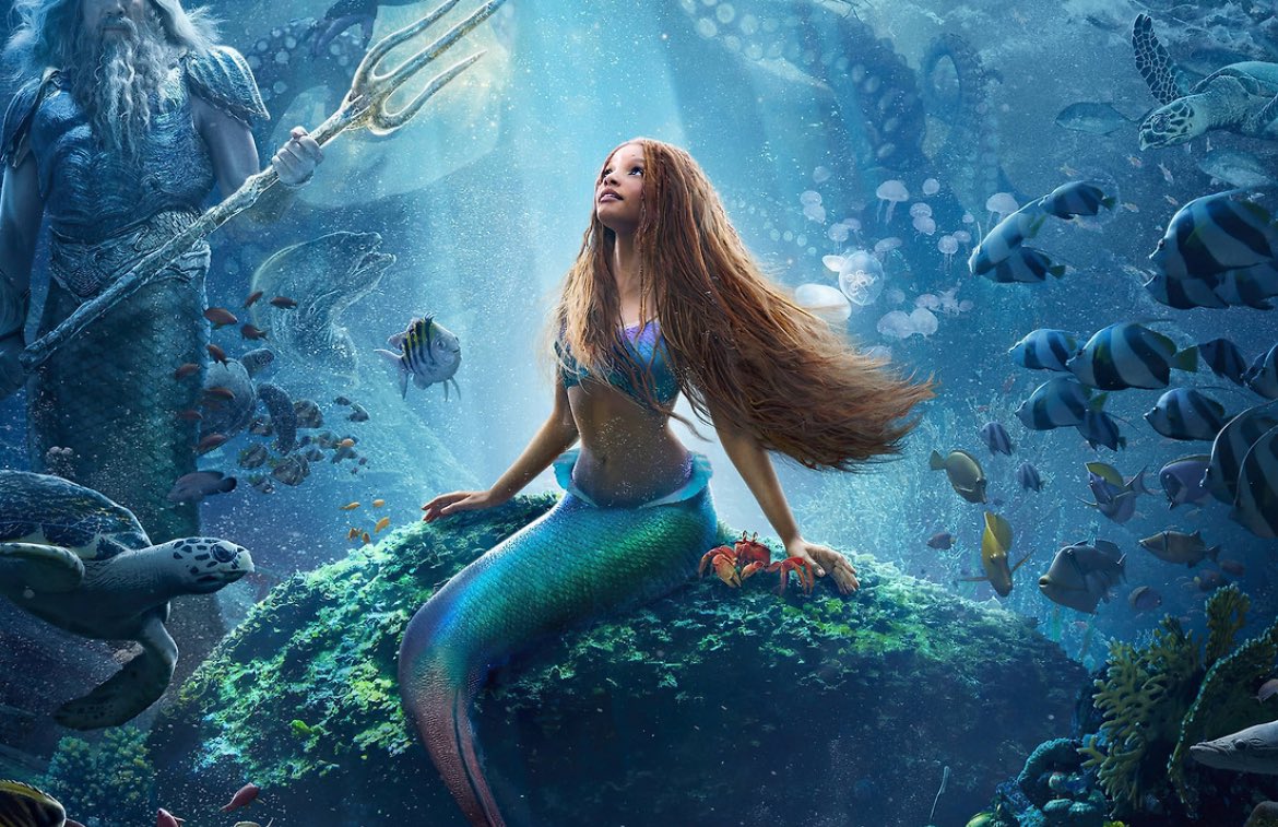 Positions Sunhine tweet media