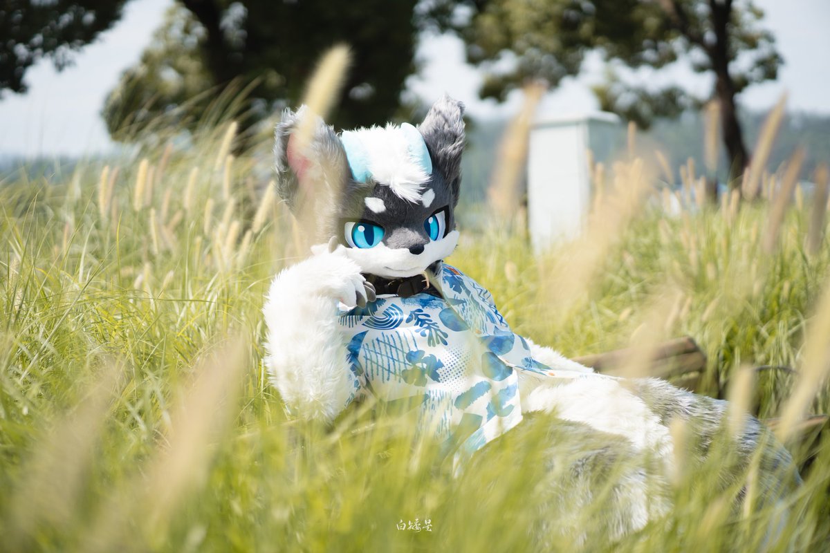 🎊若可今天一岁啦！祝若可生日快乐ww🎈

📷：白矮星prime 
#FursuitFriday