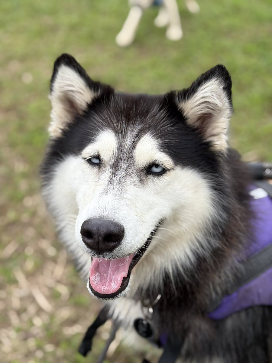 Hoy nos fuimos de paseo con esta muñeca y parece que si disfrutó 🥰
