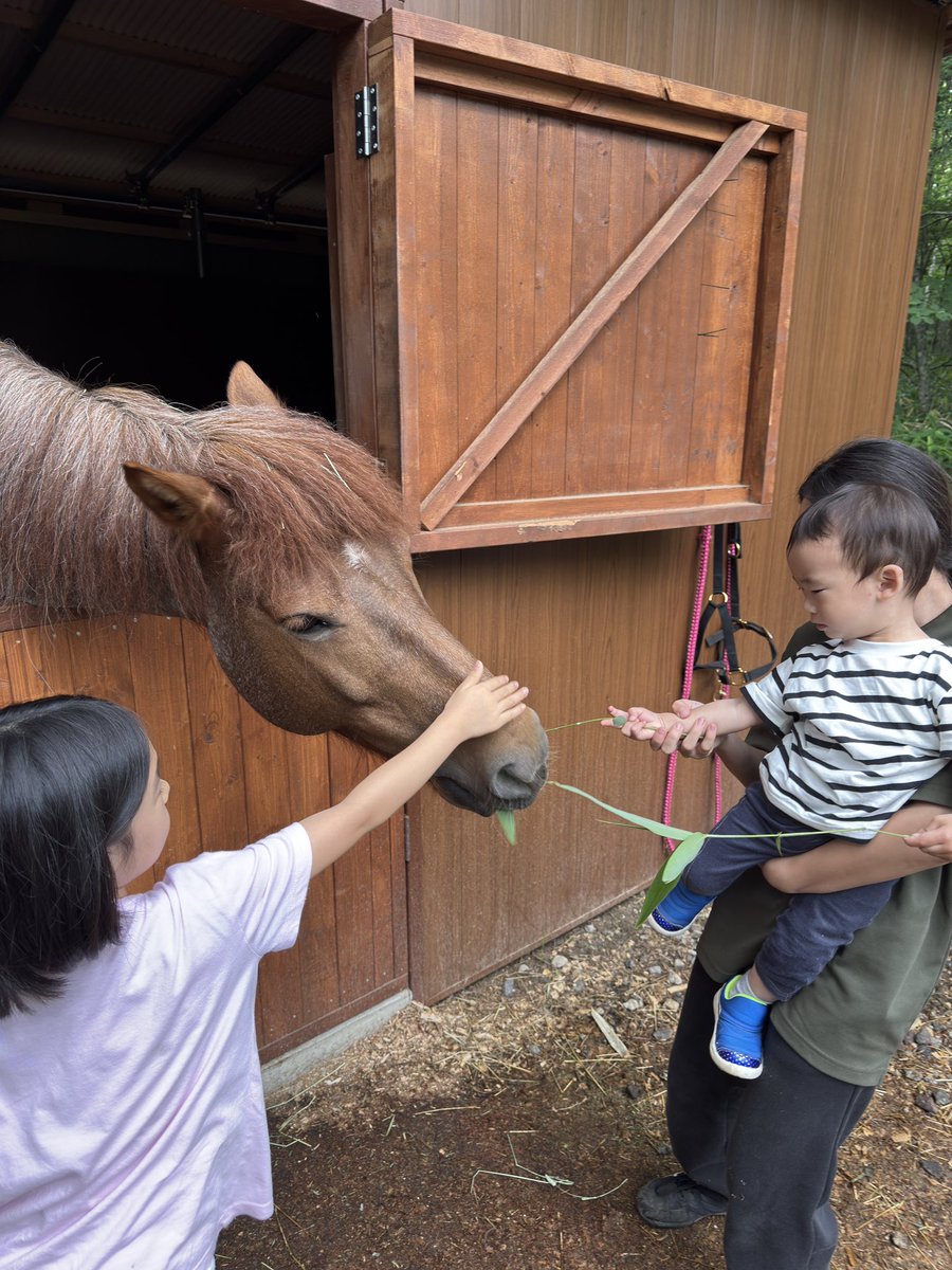 １歳の息子と一緒に乗ってきました！
7歳の娘も一人で乗れたよ！
二人とも終始笑顔🎵

エサやり、うんこの片付け!?もw

ロングステイでのアクティビティでしたが、最高の貴重な体験が出来ました！

#BUBRESORT
#YATSUGATAKE
