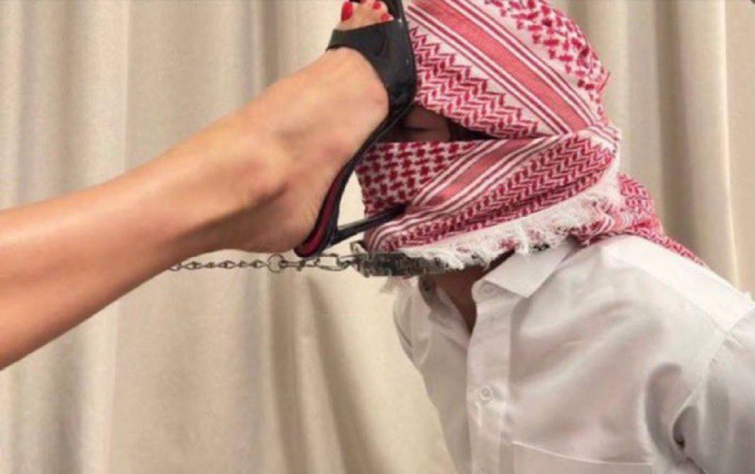 وين الغبي اللي يسمع الكلام