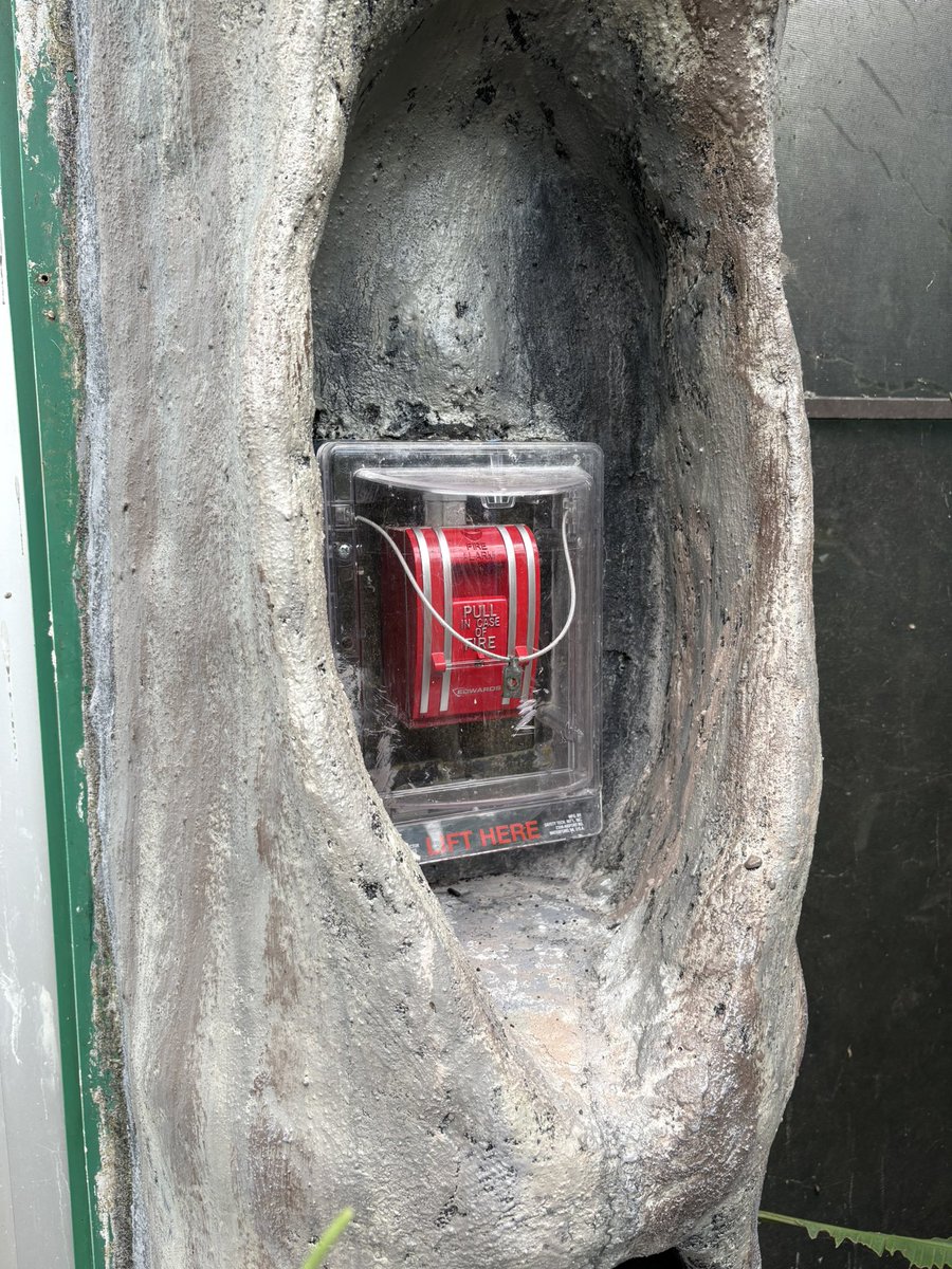 mossman incognito (@mosharv) on Twitter photo 