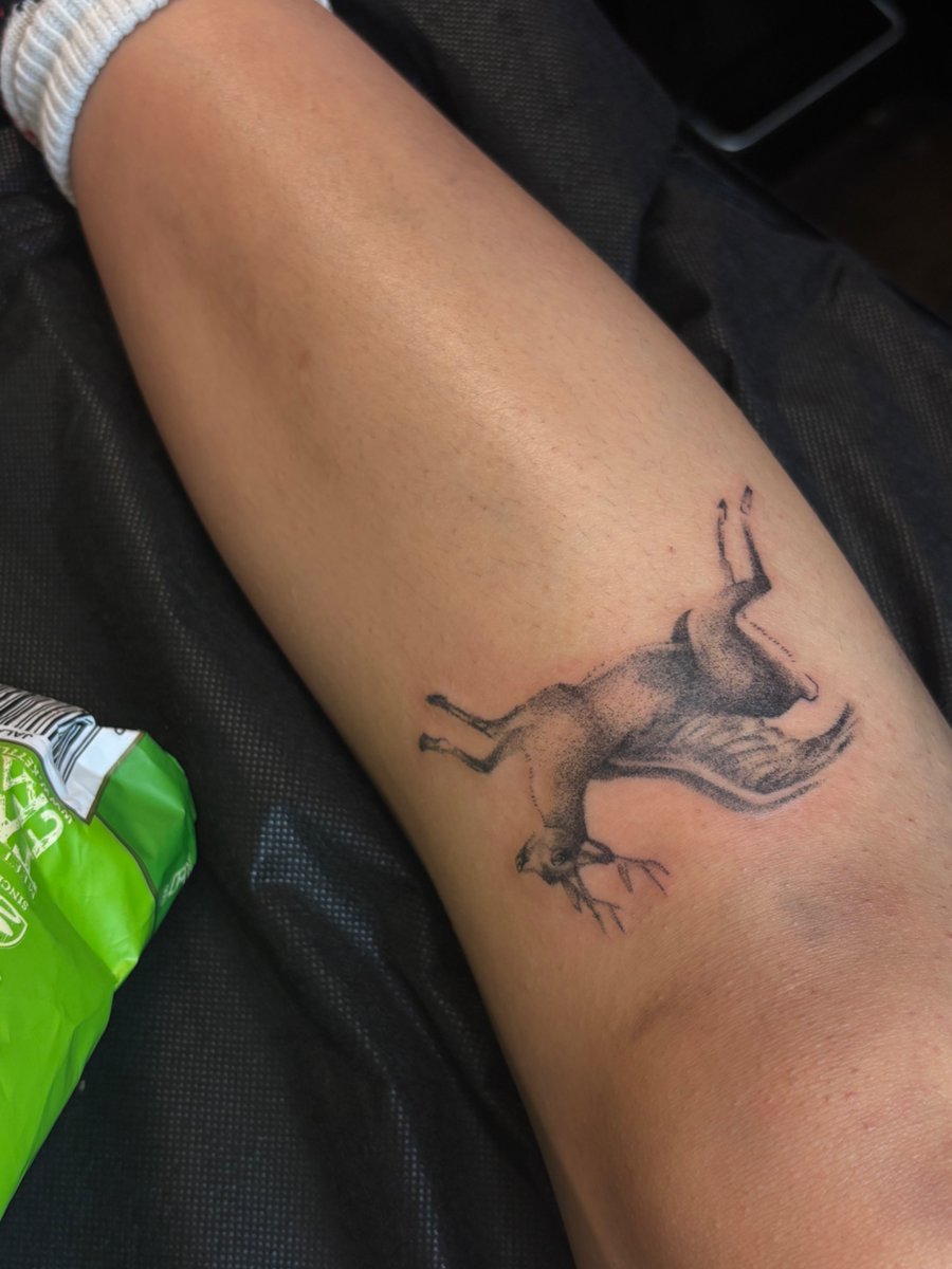 nykopoi's tweet image. new tattoo by my awesomest friend in the world