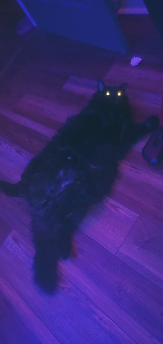 That's a weird lookin heartless