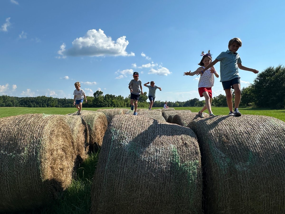 Wide open spaces. 🇺🇸 #home