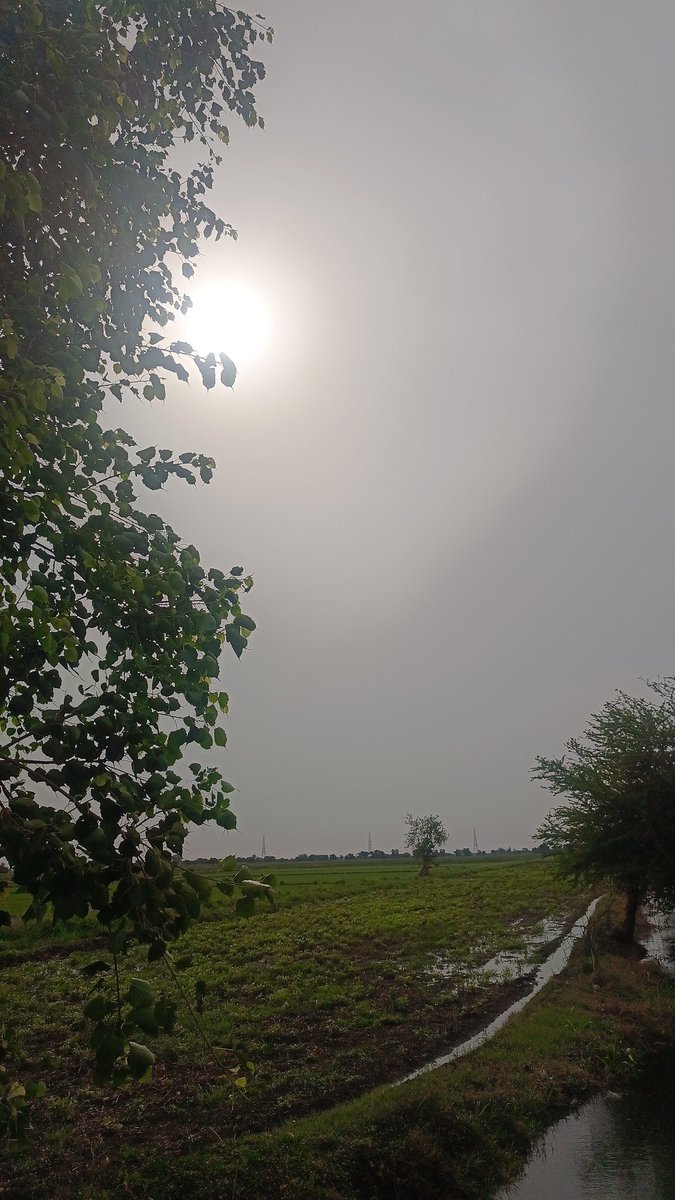 GaneshConnects's tweet image. #GoodMorning  #villagevibes