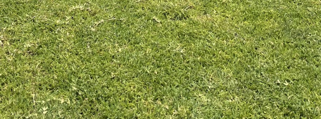 HolySpirit1909's tweet image. homeadvisor.com/rated.IsraelLa…

Fast and Efficient.
1,000 Sqft property $20.

5,000 Sqft property $40.

10,000 Sqft property $60.

15,000 Sqft property $80.
￼

 #IRVINGLIBRARY