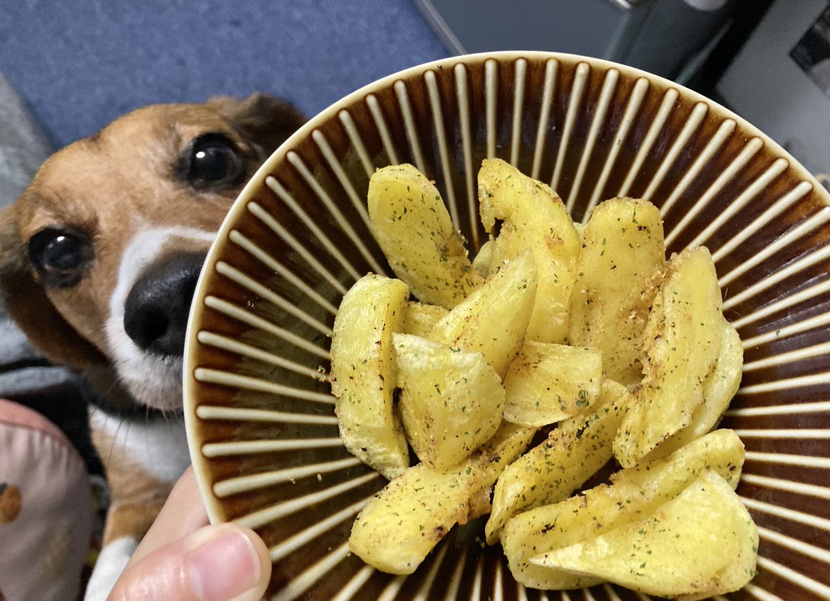 maako78's tweet photo. いただいたジャガイモで、ポテトフライを🍟 美味しかった〜🤤 https://t.co/hdf3xX6JIt