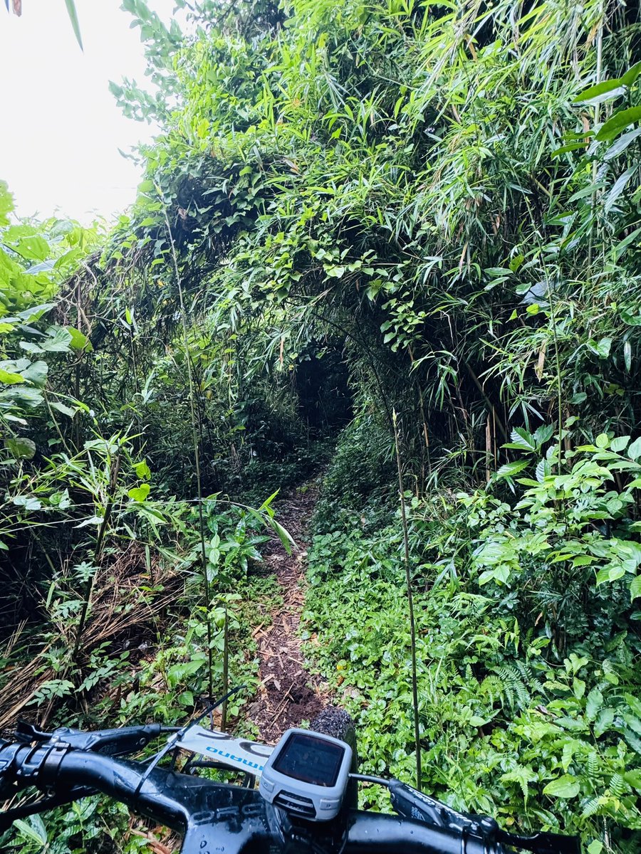 ride_food_love's tweet image. 午前な道探ししてきた🏔️🚴‍♂️

#サイクリング
#elvesbike
#NANDOR
@elvesbikejapan