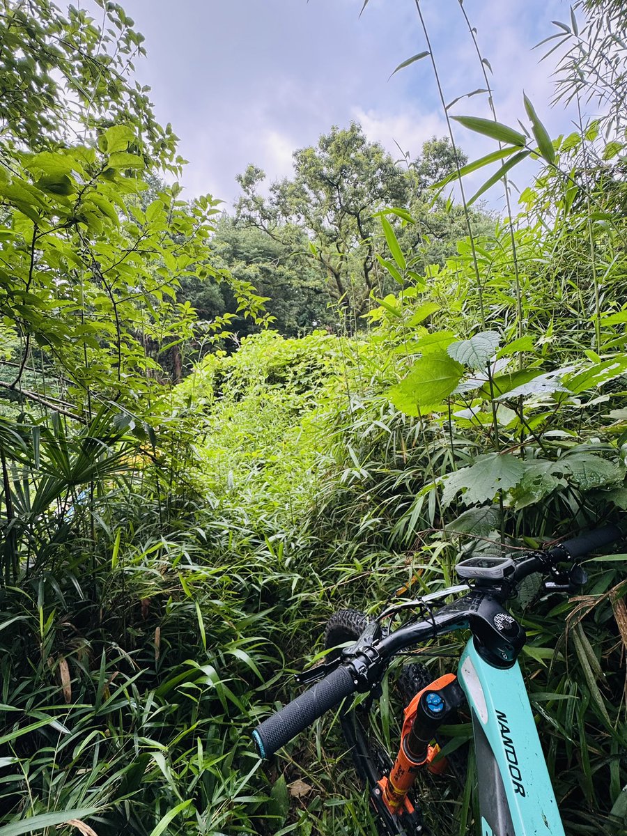 ride_food_love's tweet image. 午前な道探ししてきた🏔️🚴‍♂️

#サイクリング
#elvesbike
#NANDOR
@elvesbikejapan