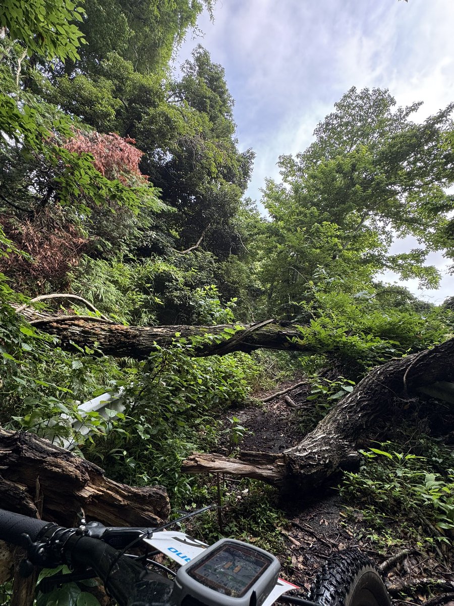 ride_food_love's tweet image. 午前な道探ししてきた🏔️🚴‍♂️

#サイクリング
#elvesbike
#NANDOR
@elvesbikejapan