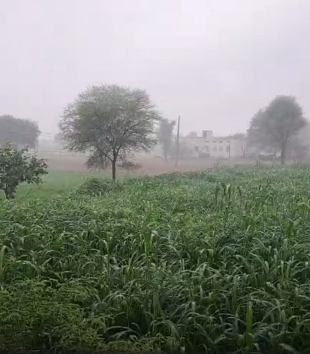 मतभेद बारिश जैसे होने चाहिये, जो बरस कर खत्म हो जाये..!

पर प्रेम और विश्वास हवा जैसा होना चाहिये, जो दिखाई न दे पर हमेशा साथ रहे...
सुप्रभात,,, जय श्री कृष्णा,,,, राधे राधे #देवशयनी_एकादशी