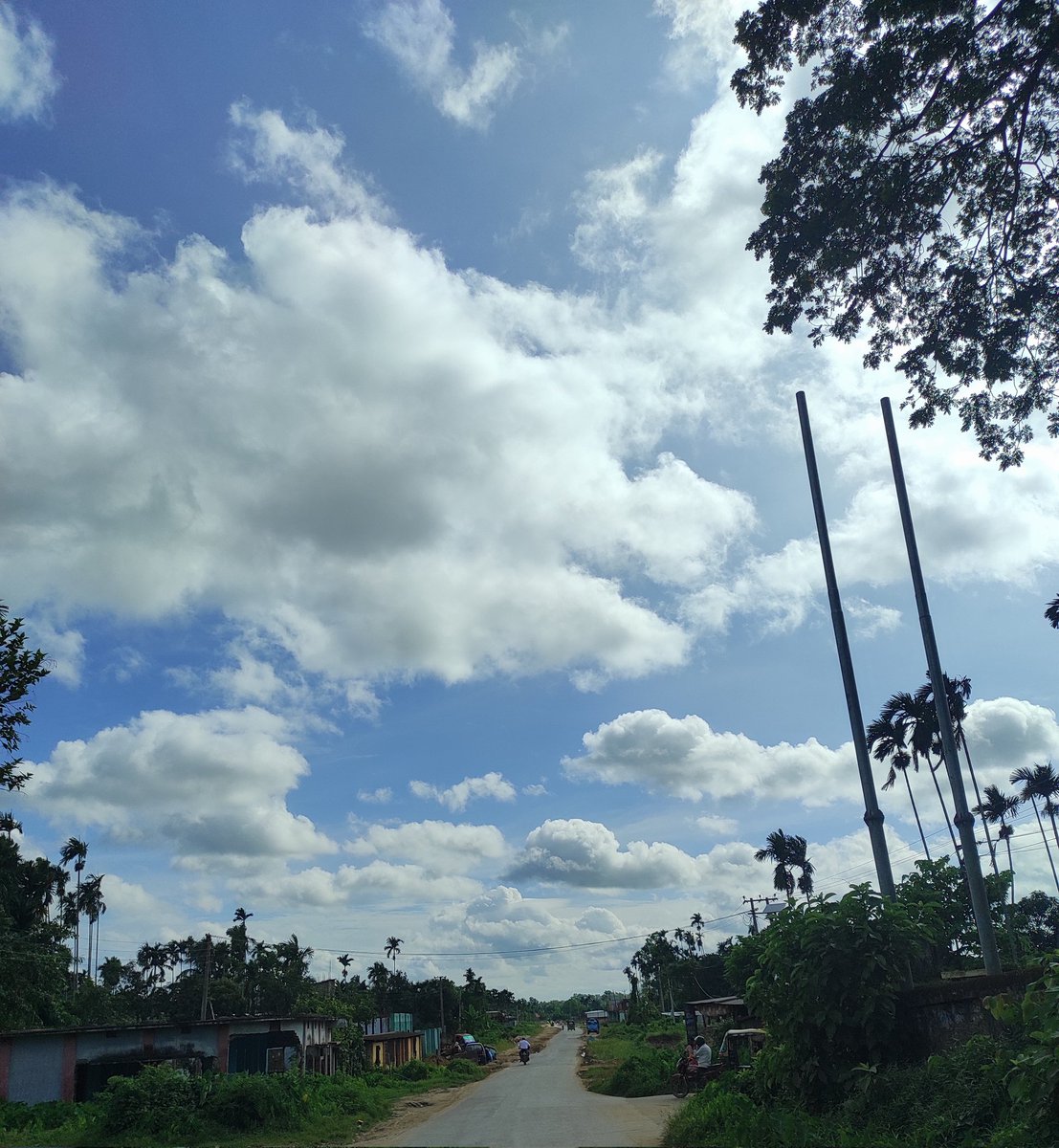 SanjitDatta194's tweet photo. My village is waking up in the morning - Wonderful view - #GoodMorning
#nature
#narural
#BeautyOfNature
#NaturalBeauty
#NaturePhotography
#NatureBeauty
#naturelovers
#morningview
#NatureVideography https://t.co/vBOAY11pvo