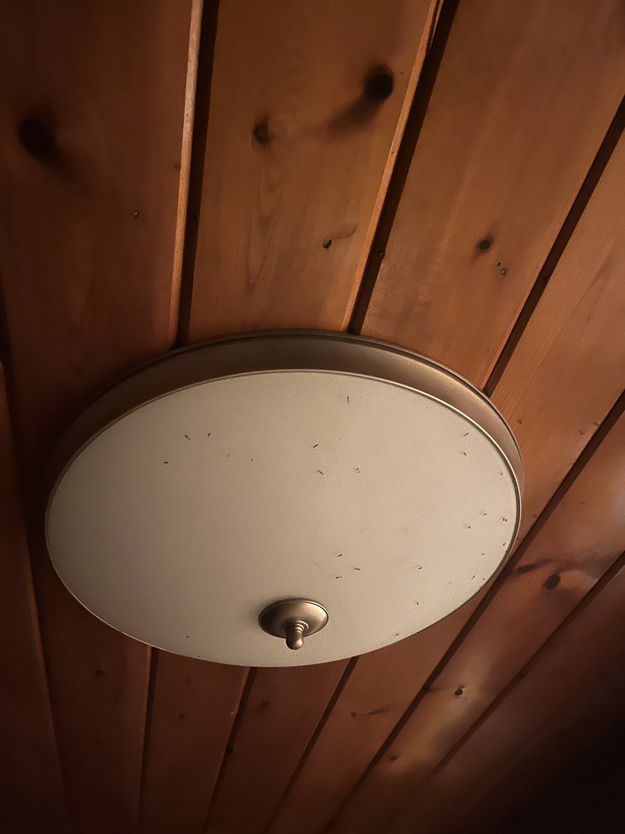 Jitendra Harpalani tweet media