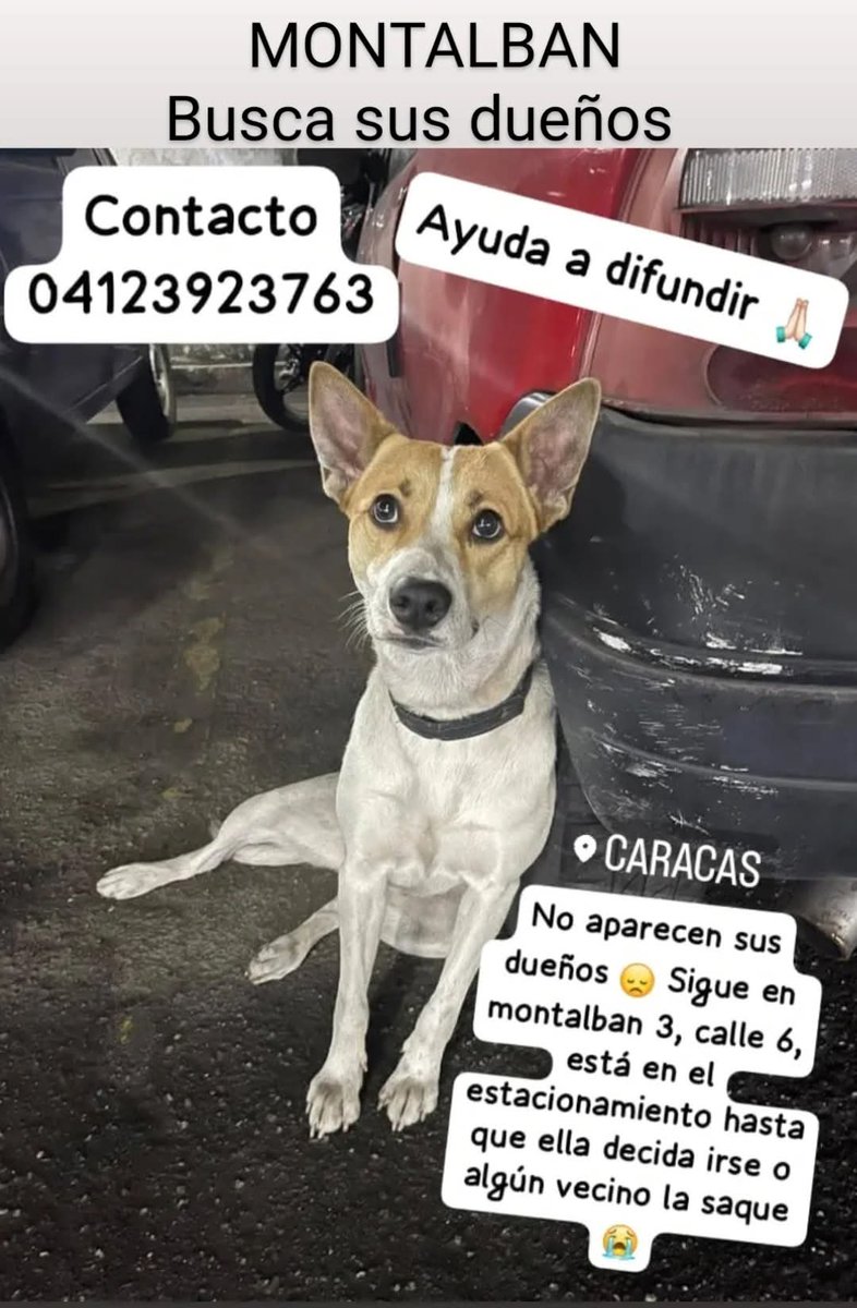 Se presume está EXTRAVIADA, Caracas Montalbán