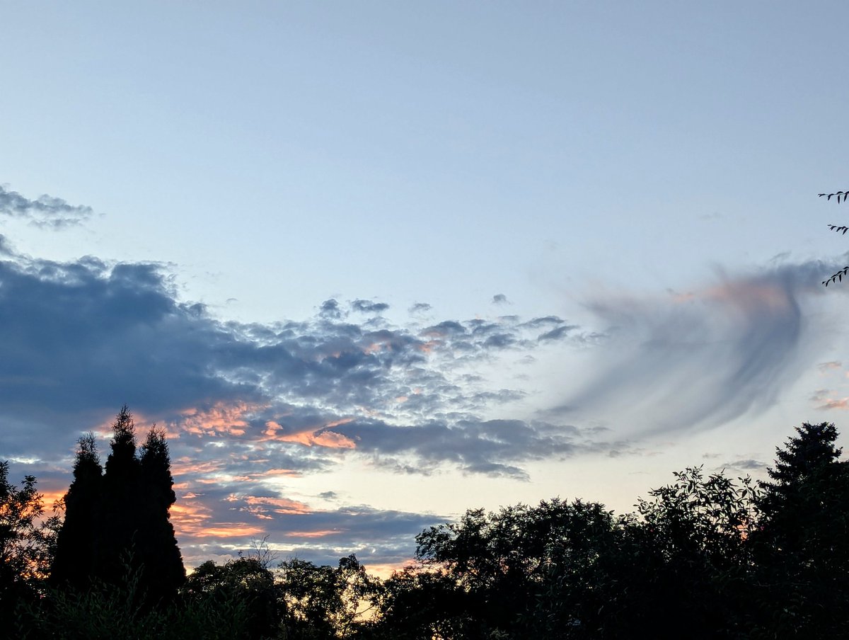 Suzanne Pothe π¨π¦ (@spothe) on Twitter photo Virga ( jellyfish clouds) spotted over Winnipeg, Manitoba, Canada this evening <a href="/CloudAppSoc/">Cloud Appreciation Society</a> Virga ( jellyfish clouds) spotted over Winnipeg, Manitoba, Canada this evening <a href="/CloudAppSoc/">Cloud Appreciation Society</a>