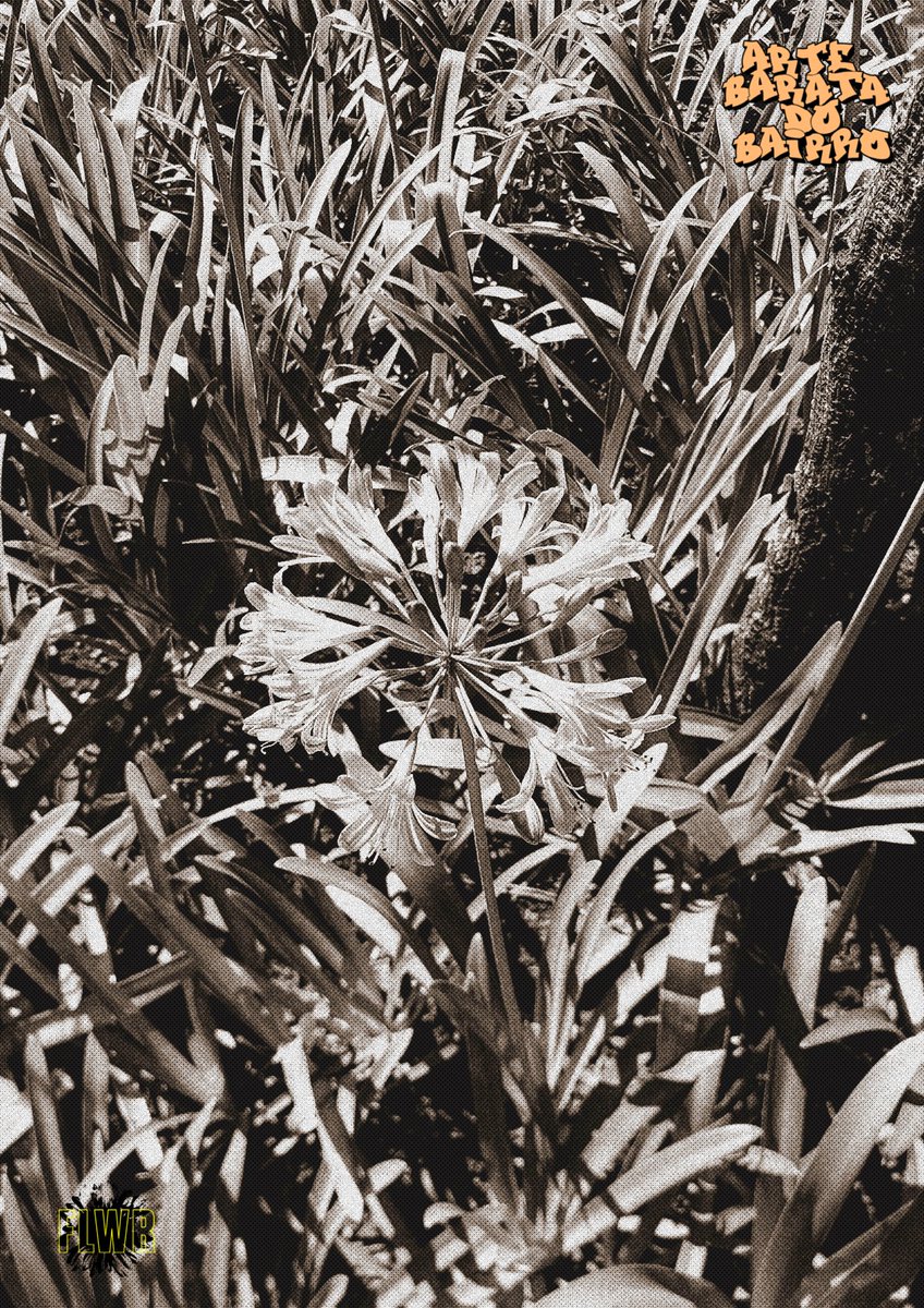 Flower 🍂 KILIG tweet media
