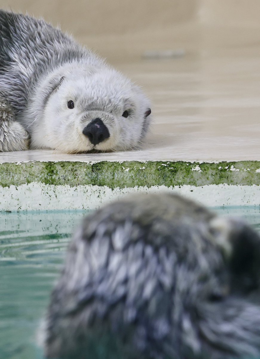 キラちゃんを見つめるメイちゃん
いつまでもこんな日が続きますように🎋