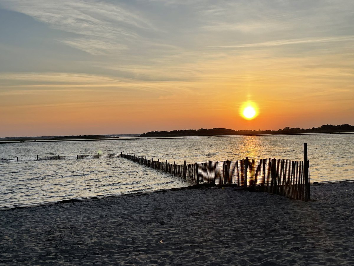 Melissa Lockett (@mnlockett) on Twitter photo 