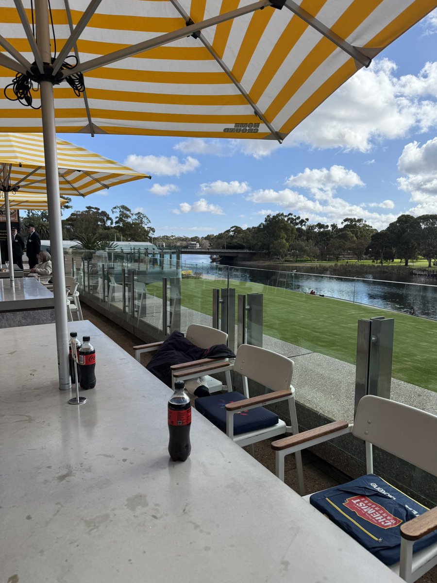 Rainbow Crows tweet media