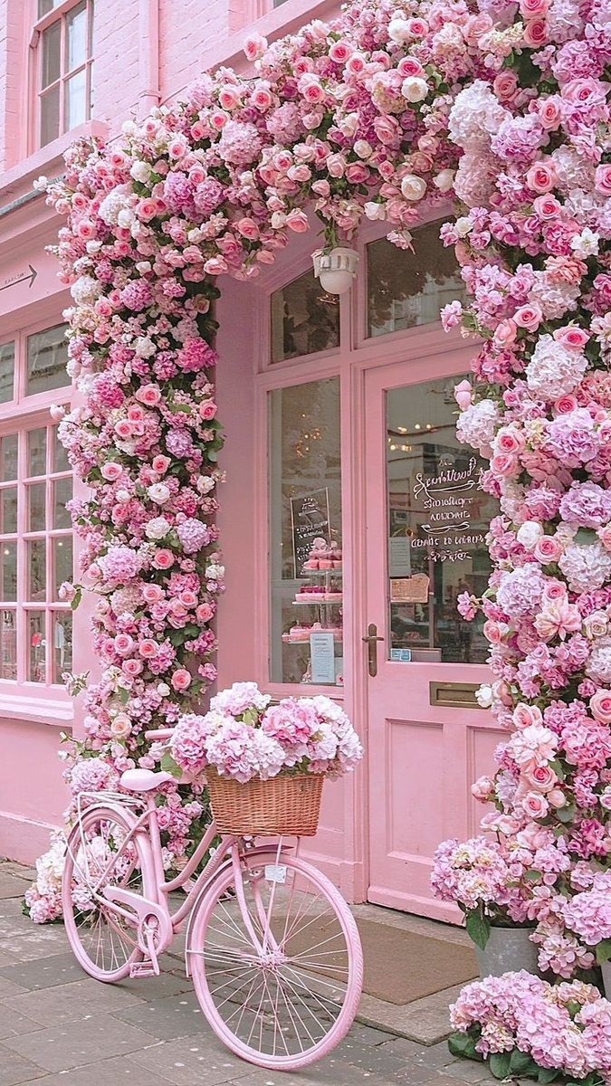 Hello Everyone! 🩷 Have a beautiful day  💞🌸💕