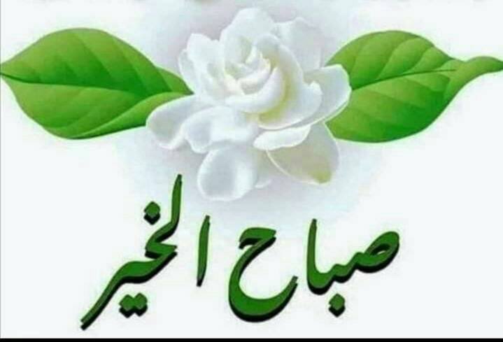 💦
اللهم 
اجعلنا ممن استعان بك فأعنته، 
و استهداك فهديته، و توكل عليك فكفيته، و استنصرك فنصرته، و استغفرك فغفرت له و قبلته🤲🤍💦