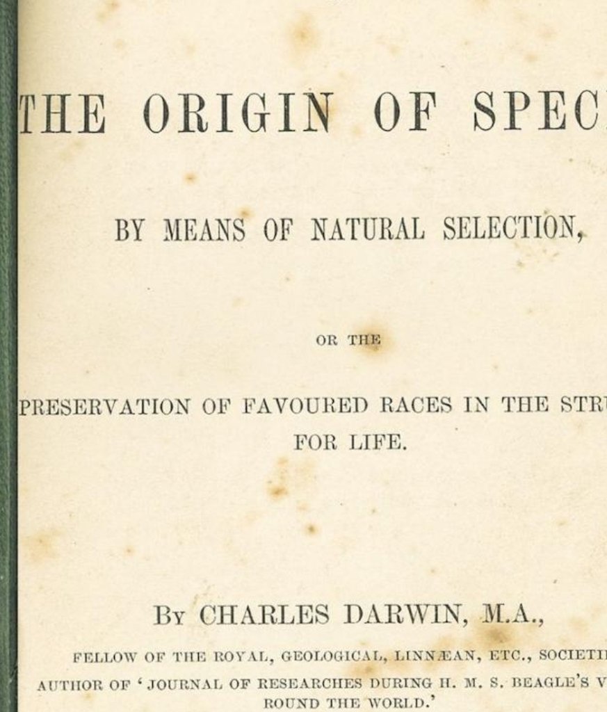 Bad Leroy Brown tweet media