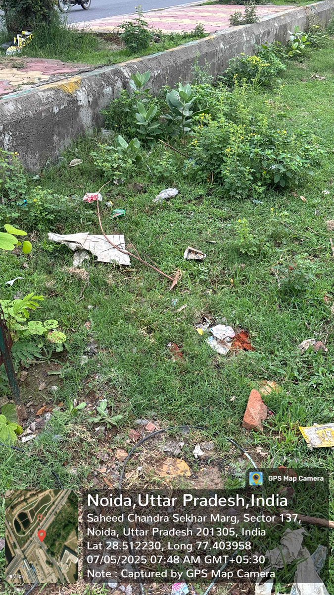 Richa Dewan tweet media