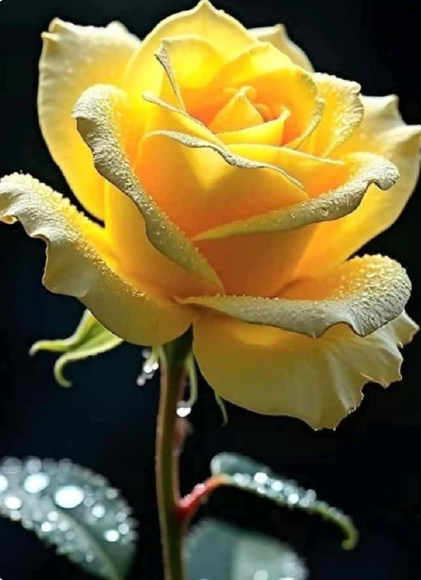 The most beautiful things in the world,cannot be seen or even touched.
They must be felt with the heart
🌹💕🌹💕🌹💕🌹💕🌹💕🌹💕🌹