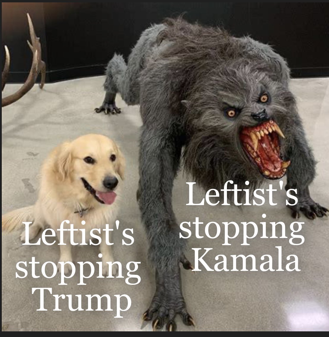 jim furnace tweet media