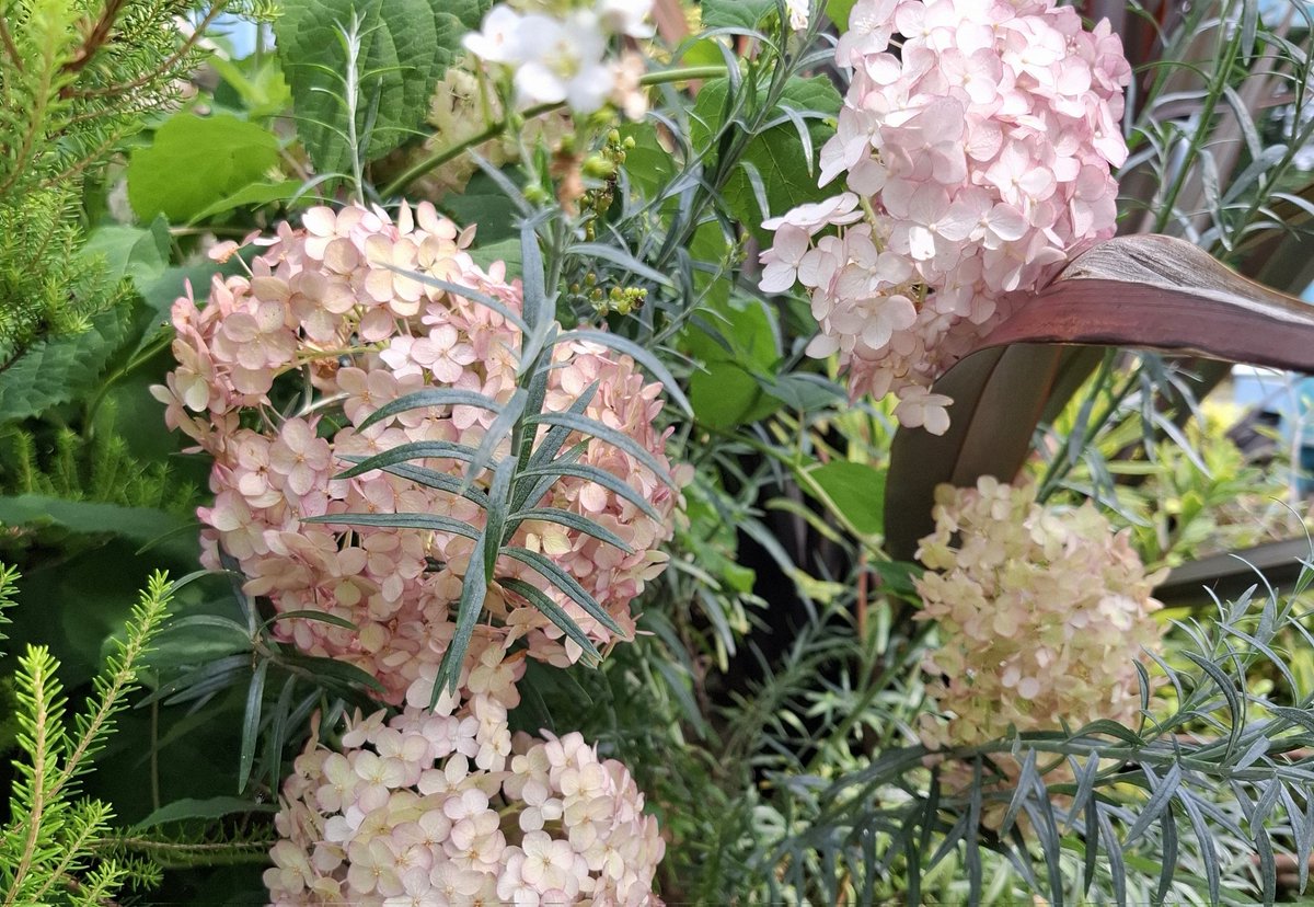 伊勢白山道さんの記事をご紹介致します🙇🍡#ライブドアブログ
火山と「黒い雲」

⬇️記事はコチラ⬇️
isehakusandou.blog.jp/archives/59285…