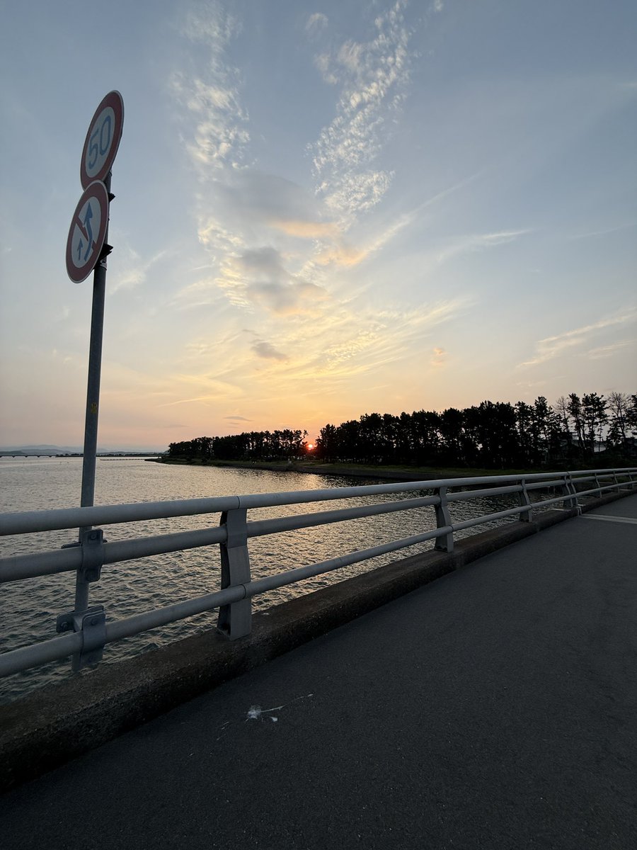 今朝の太陽にほえろ。