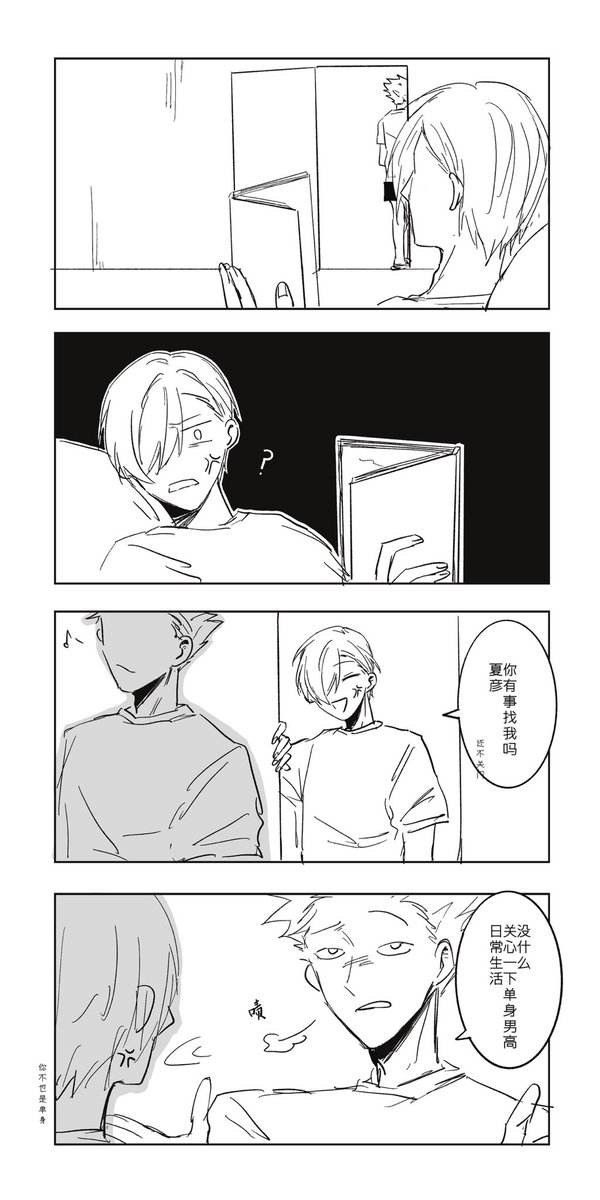 一头雄狮正在巡视自己的领地（