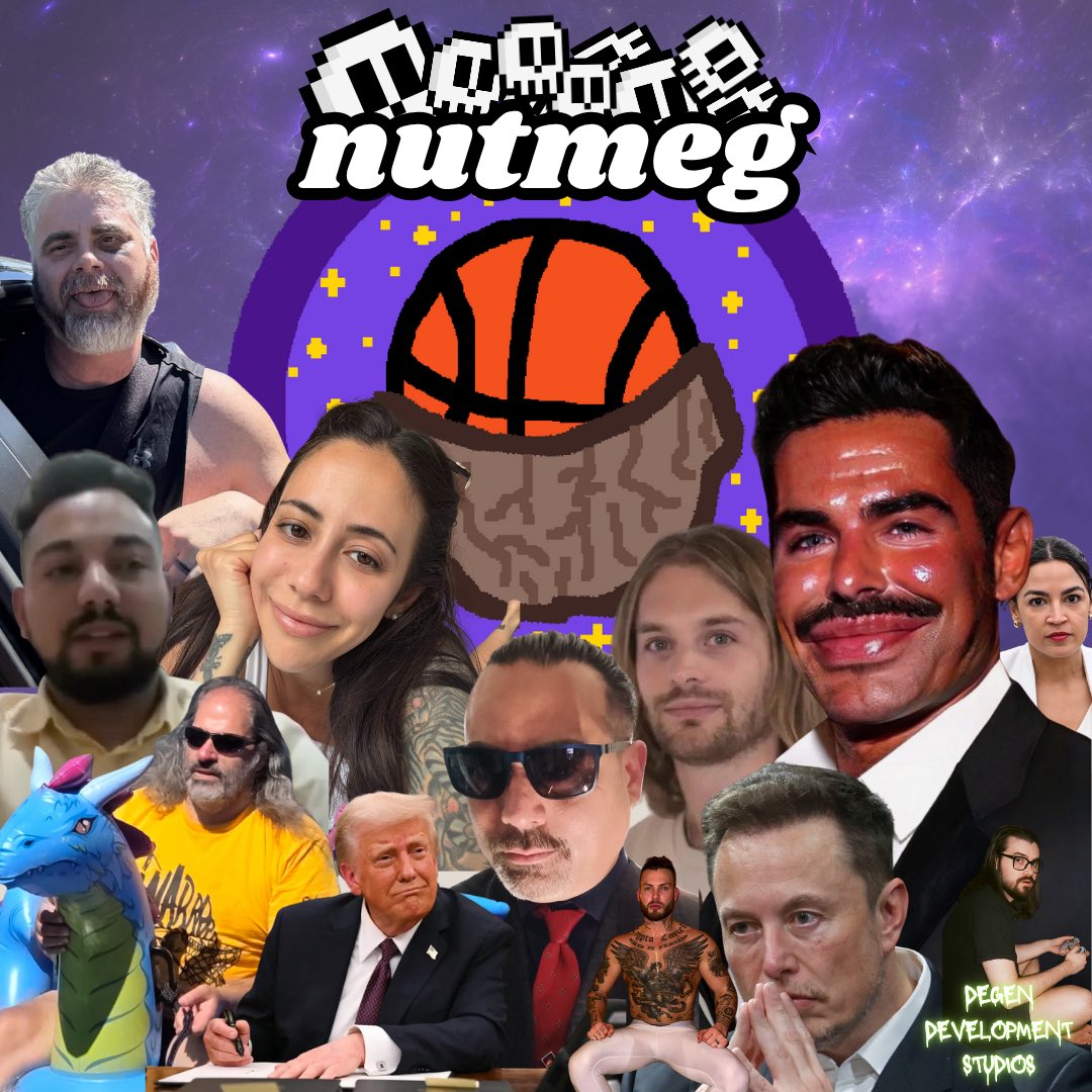 This isn’t the team crypto asked for…
But it’s the one it deserved… 🌰🏀

The Bullrun now has its moon team 🚀

$NUTMEG x $PURPL x $XPR