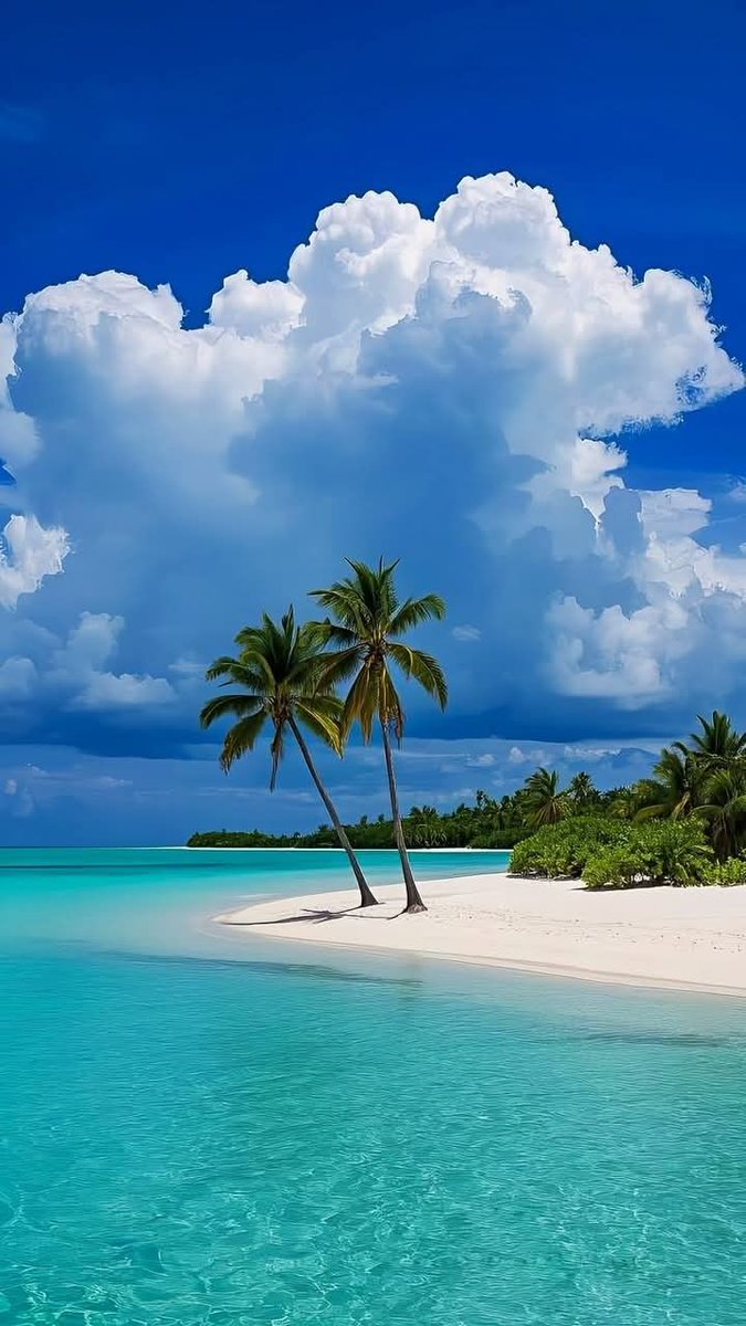 FLORA (@floraaaa_11) on Twitter photo 