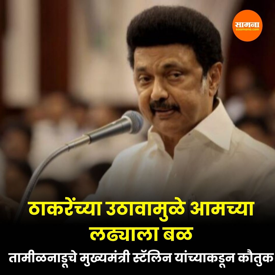 ठाकरेंच्या उठावामुळे आमच्या लढ्याला बळ, तामीळनाडूचे मुख्यमंत्री स्टॅलिन यांच्याकडून कौतुक; हिंदी सक्ती खपवून घेणार नसल्याचा इशारा
वाचा सविस्तर : tinyurl.com/5n7zvph5